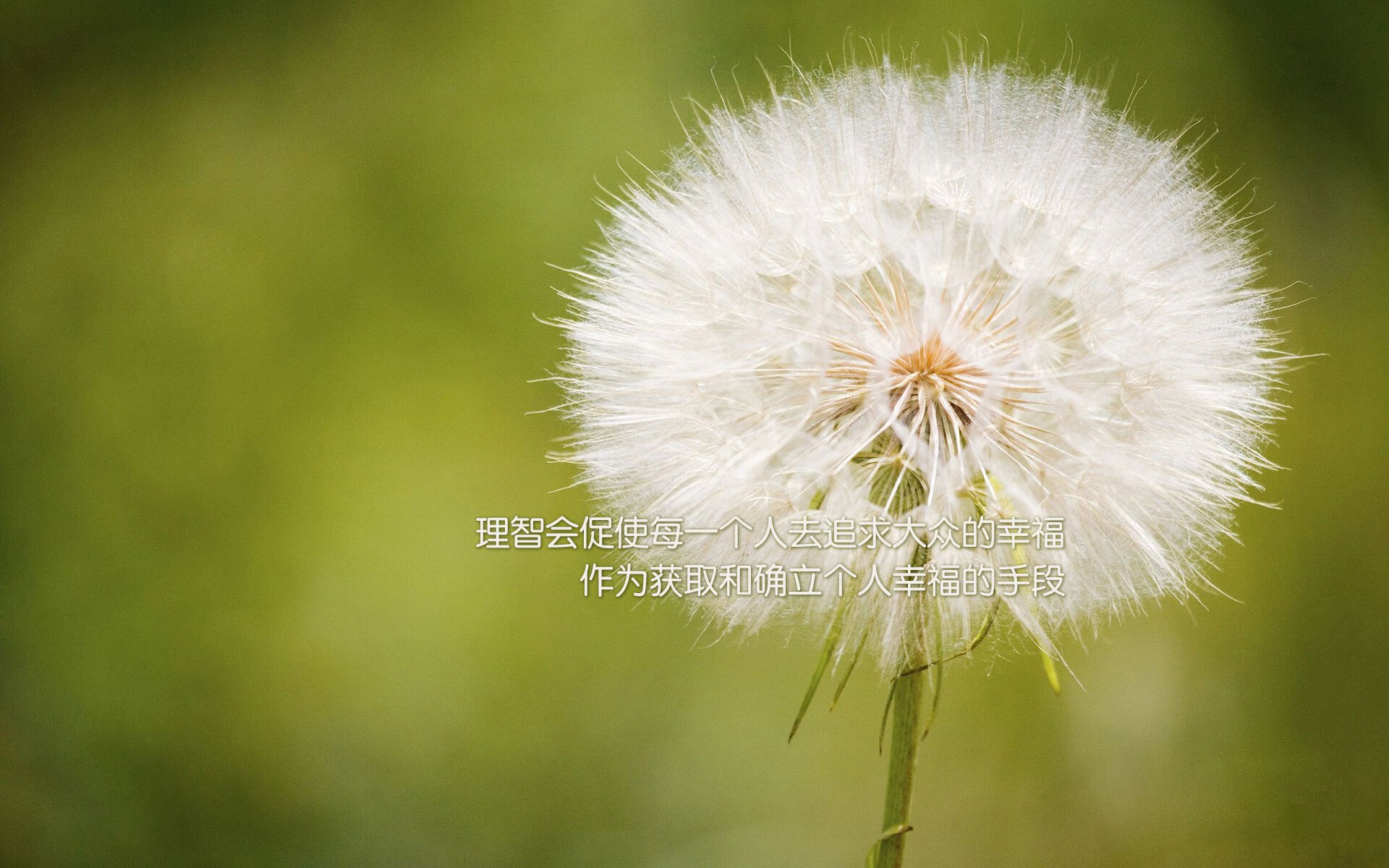 开云体育在线-意甲焦点战之夜，英格拉姆个人能力完全展现，独力改写比赛结局