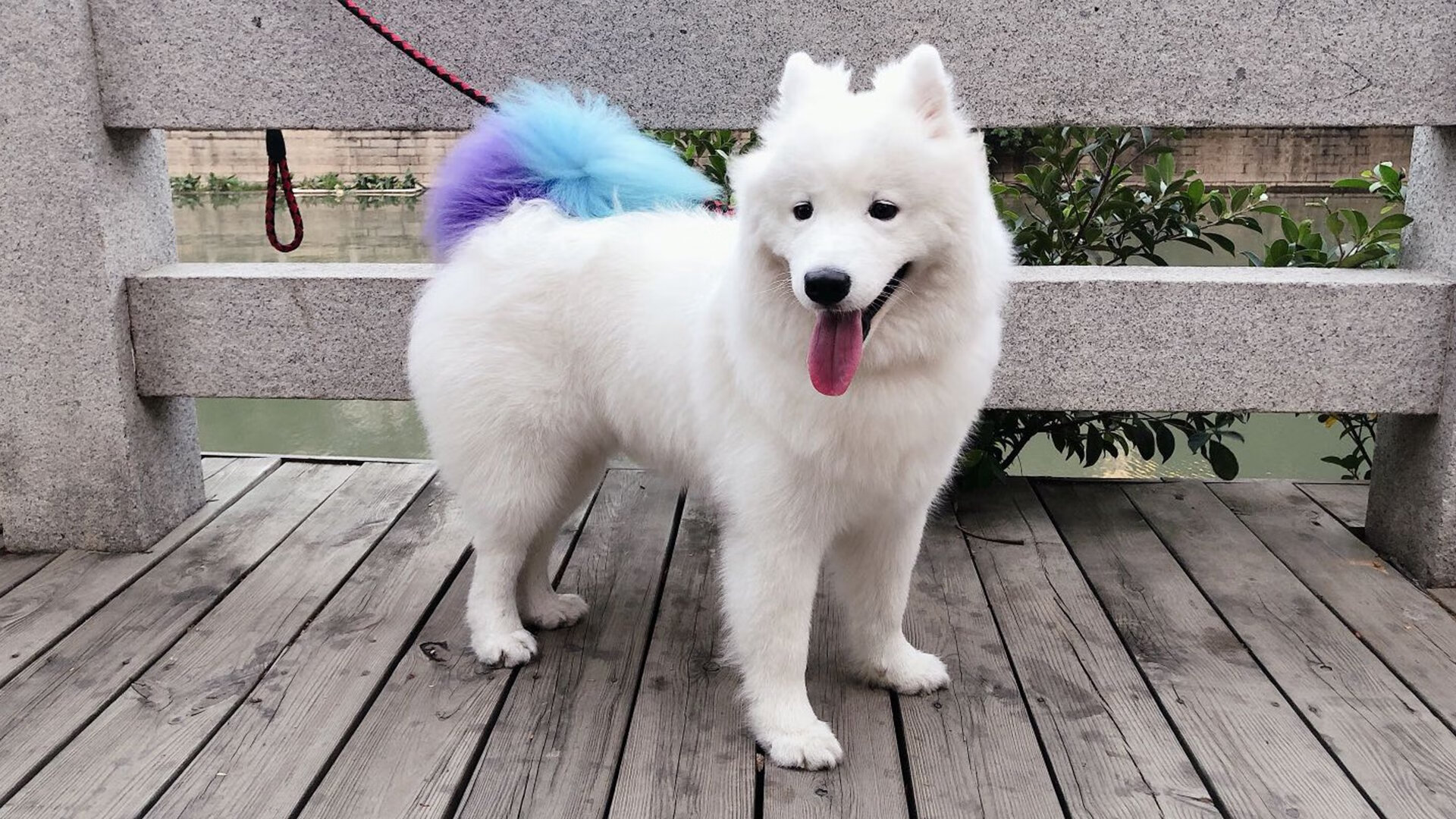 霍勒迪21罚撕开魔术防线，快船末节强行断电终结悬念