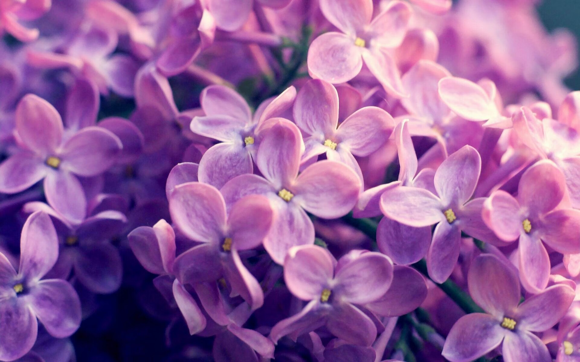 三分钟狂潮，牙买加的热带风暴如何单节撕碎比利时防线