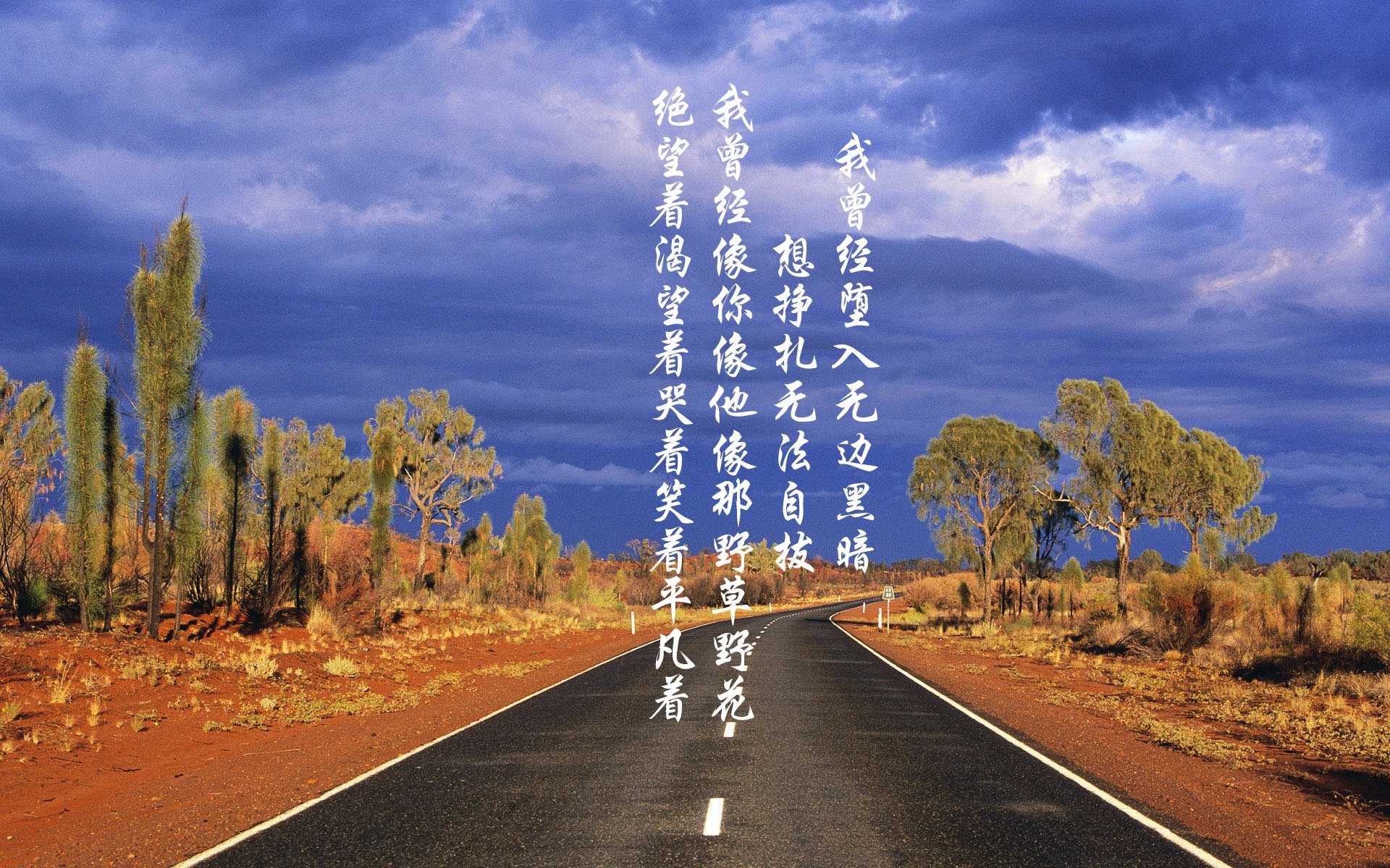 火箭终结森林狼连胜 新星切特·霍姆格伦化身关键先生