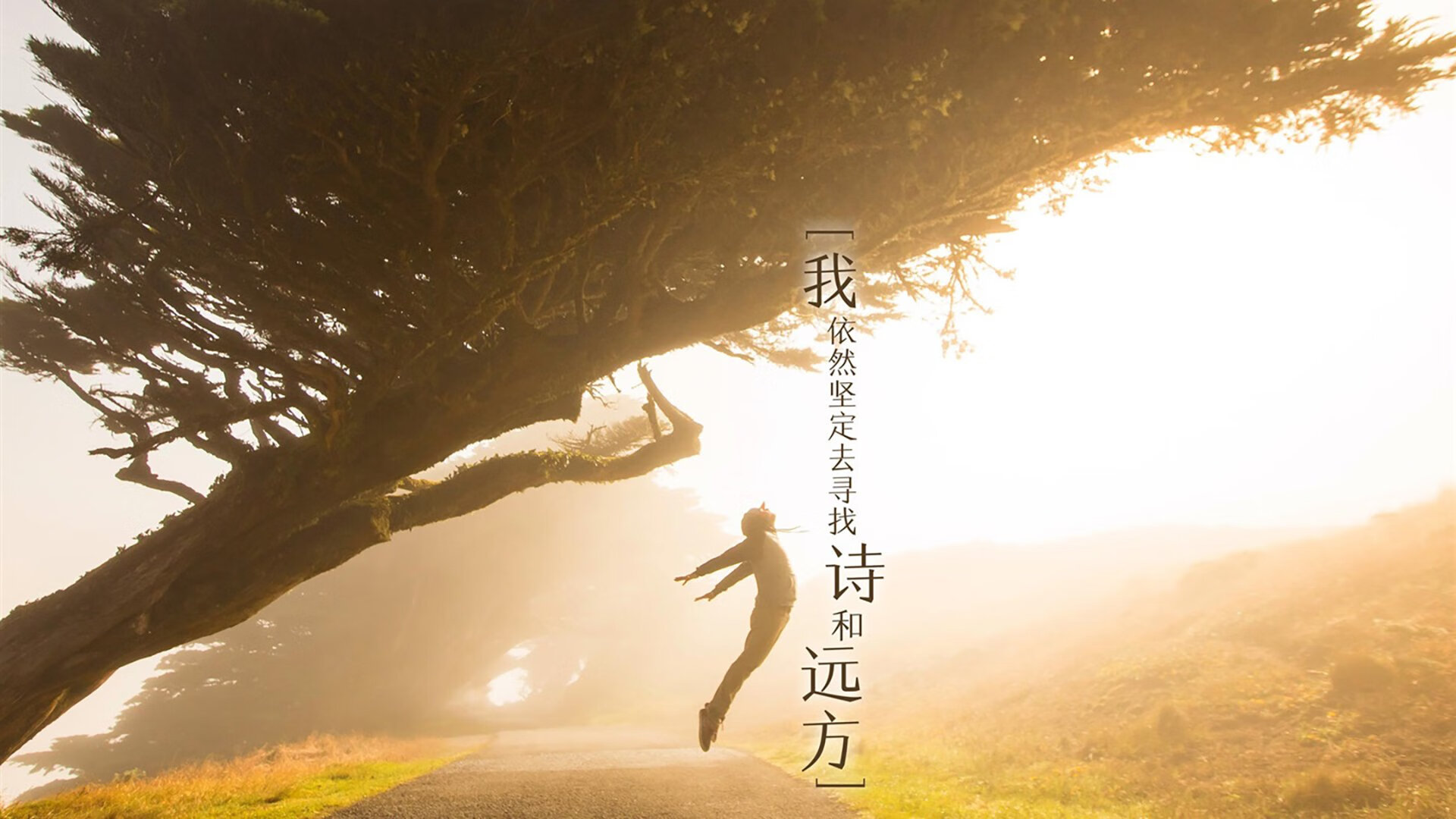 西亚卡姆连珠炮式得分拉开差距，广厦队关键战役突围凯尔特人