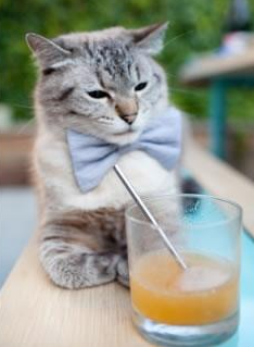 绝境不是剧本，NBA与欧冠同时上演的逆转狂想曲