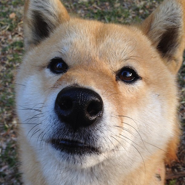 开云官网-新王加冕，国家德比之夜，乔治用一记绝杀为自己正名