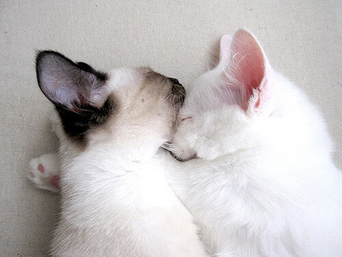 欧冠之夜，皮克用沉默的呼吸证明，后卫的伟业在硝烟散尽后才被看见