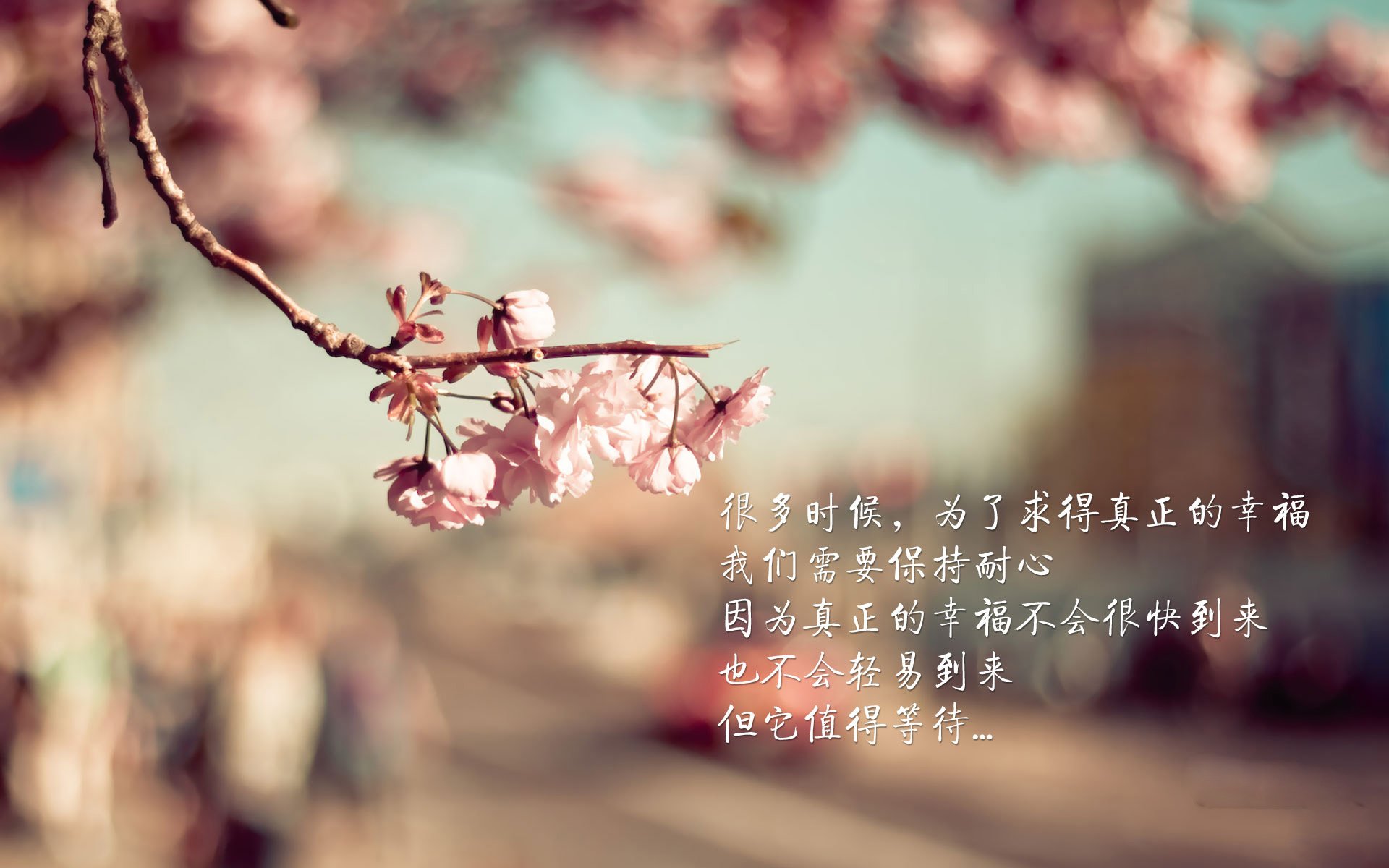 安哥拉爆冷击败伊朗,萨卡闪耀全场成决定性英雄